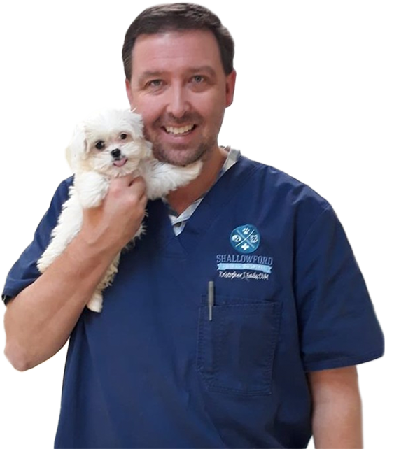 doctor holding small dog2