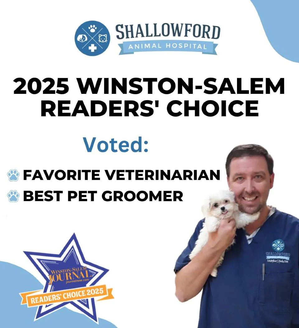 Shallowford 2025 Readers Choice updated